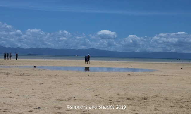 the little pool in the middle of sandbar